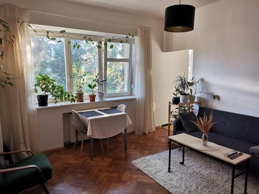 Cozy Studio In The City Centre Near Train Station Bratislava Eksteriør billede