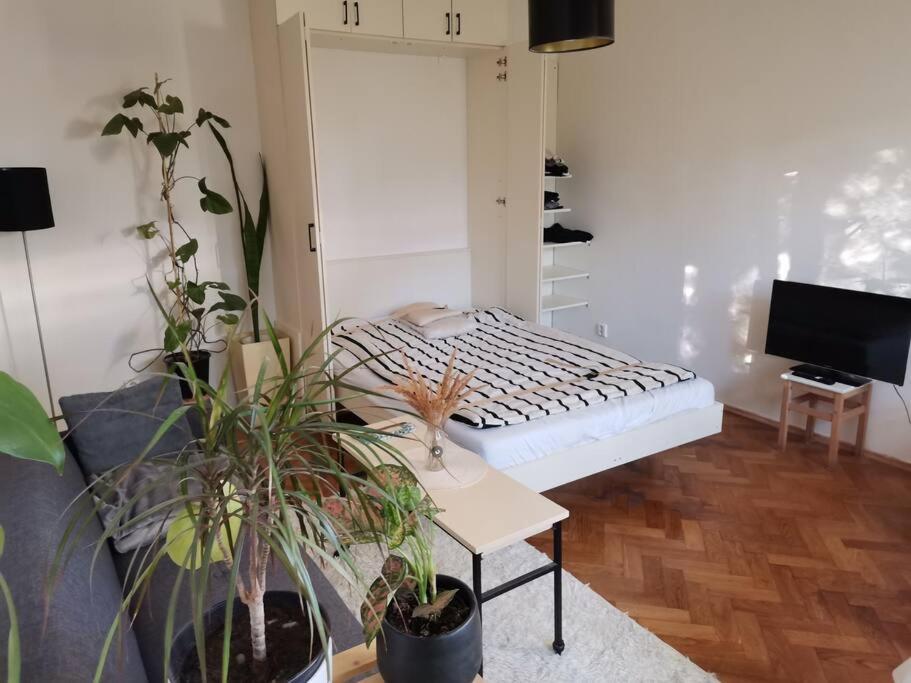 Cozy Studio In The City Centre Near Train Station Bratislava Eksteriør billede